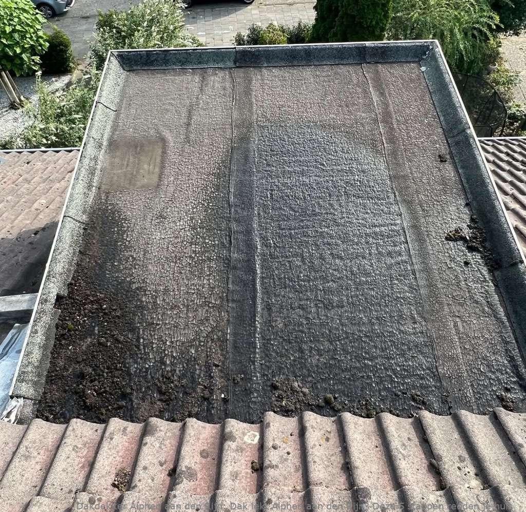 Dak Lekt Alphen Aan Den Rijn