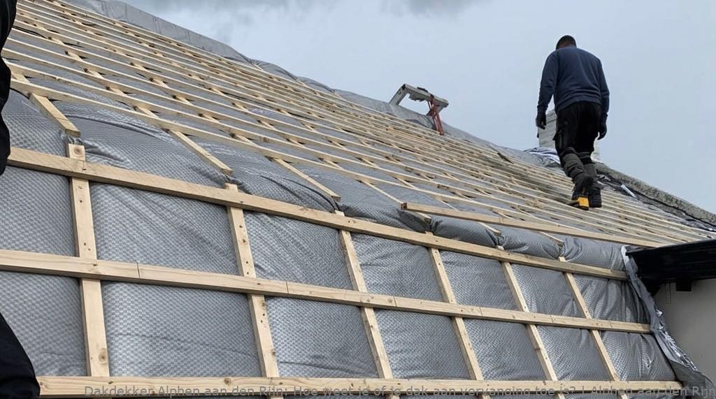 Dak Vervangen Alphen Aan Den Rijn