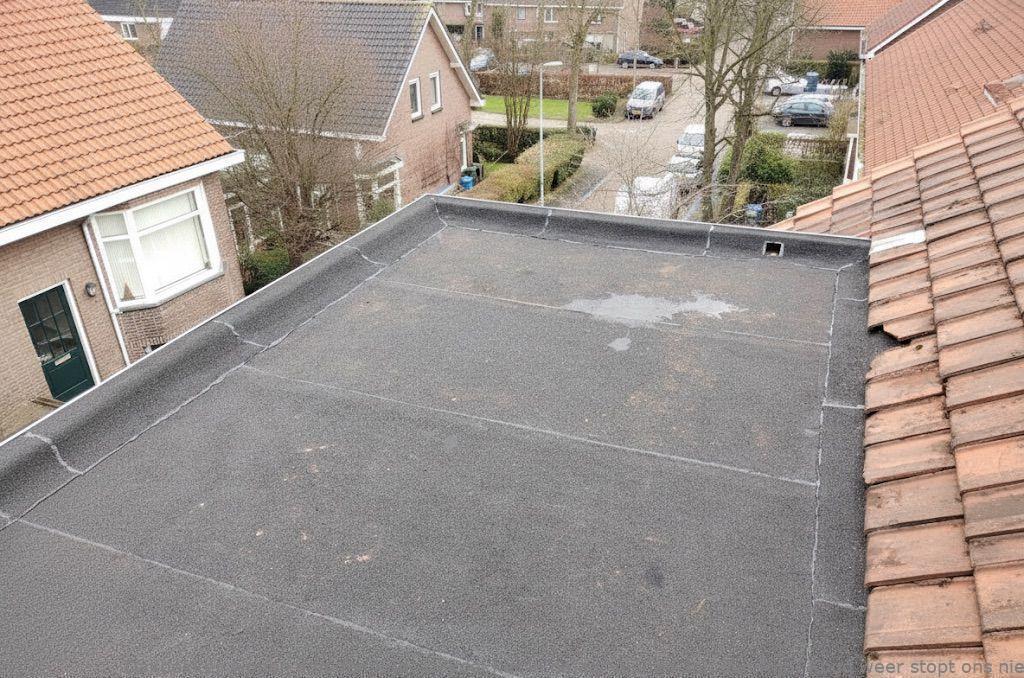 Dakdekker In Najaar Alphen Aan Den Rijn