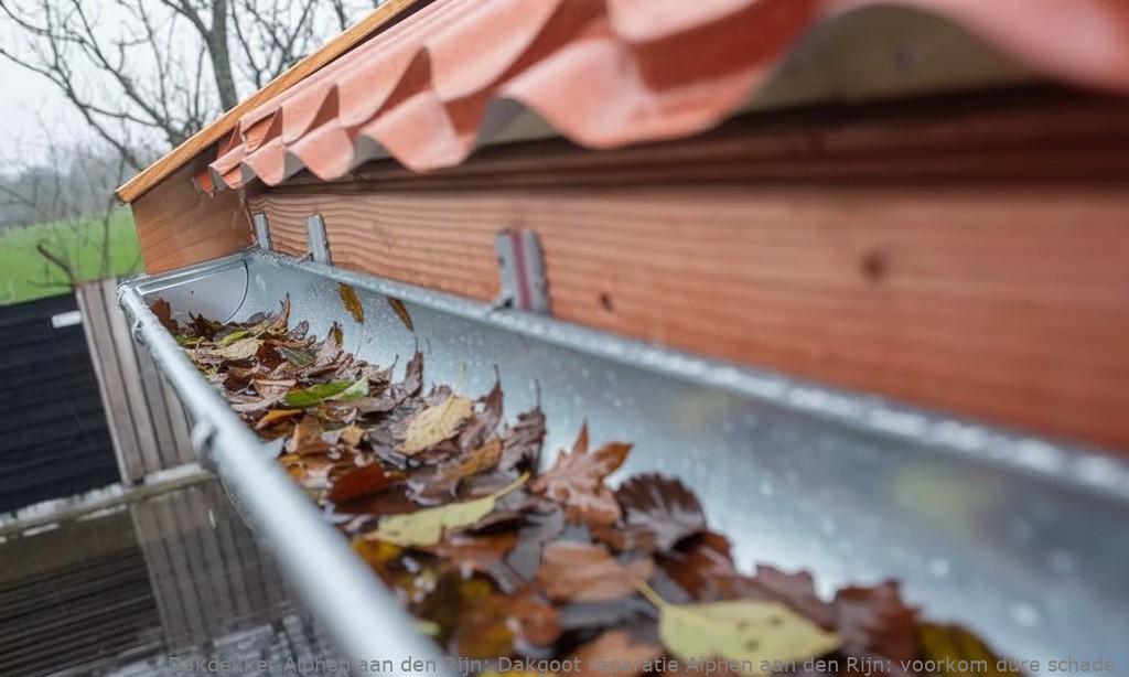 Dakgoot reparatie Alphen aan den Rijn: voorkom dure schade