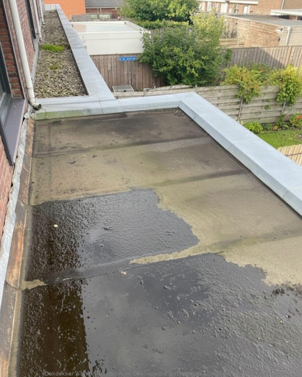 Dakinspectie Platte Daken Alphen Aan Den Rijn