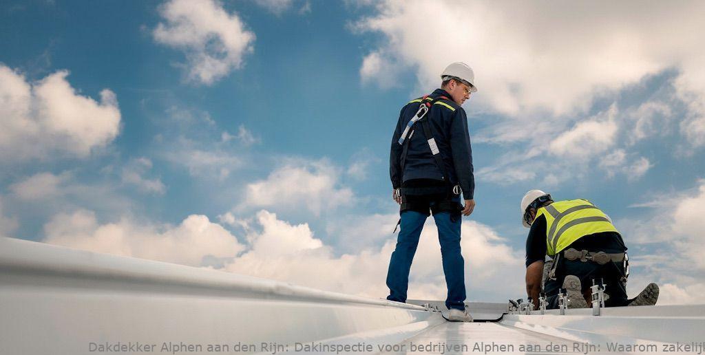 Dakinspectie Voor Bedrijven Alphen Aan Den Rijn
