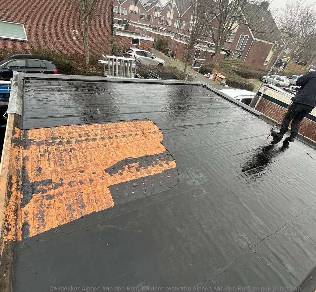 Dakleer Reparatie Alphen Aan Den Rijn