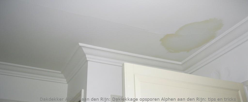Daklekkage opsporen Alphen aan den Rijn: tips en tricks