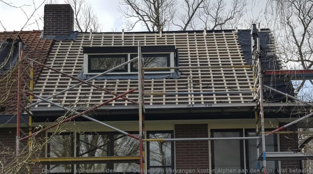 Dakpannen vervangen kosten Alphen aan den Rijn: Wat betaal je?