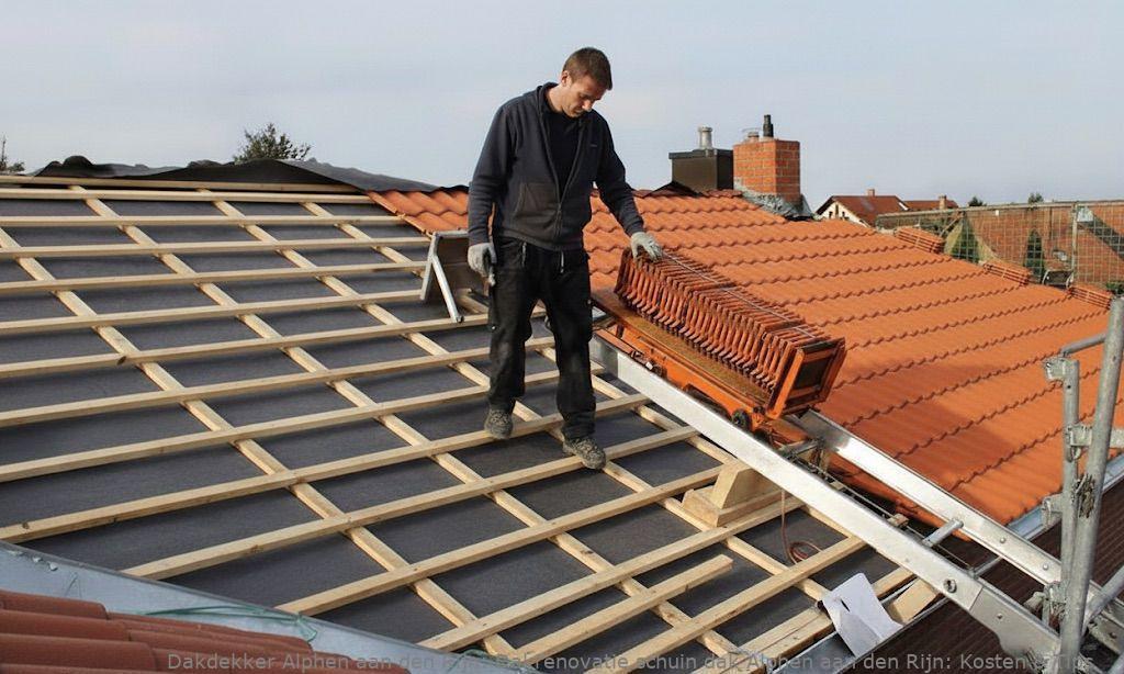 Dakrenovatie Schuin Dak Alphen Aan Den Rijn