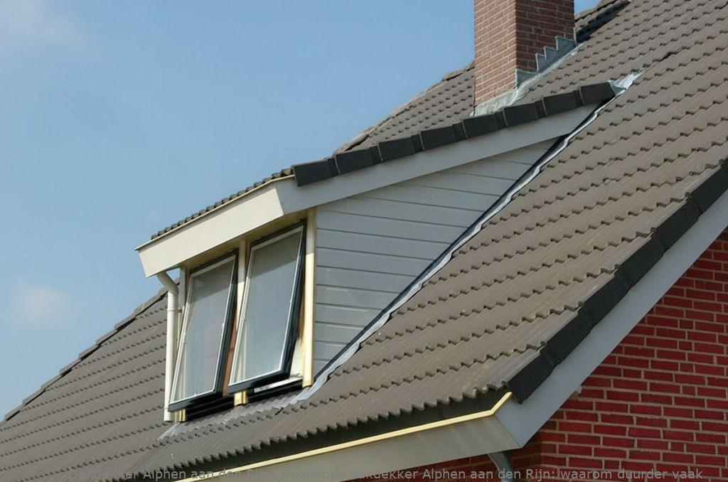 Goedkope Dakdekker Alphen Aan Den Rijn