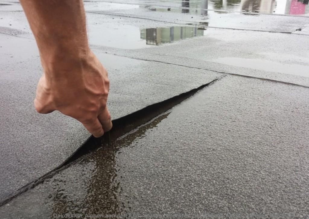 Kosten Repareren Daklekkage Alphen Aan Den Rijn