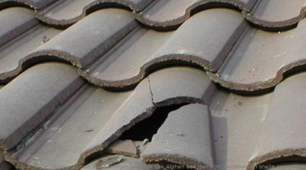 Lekkage dak Alphen aan den Rijn: oorzaken en snelle reparaties