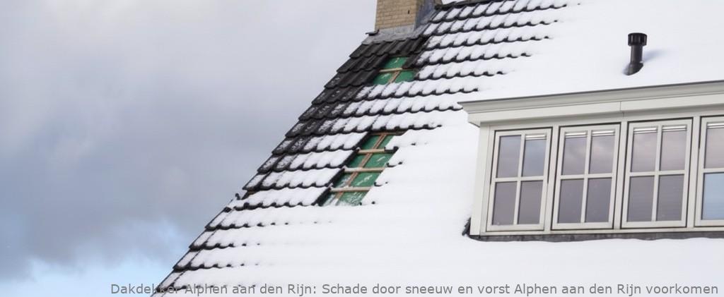 Schade door sneeuw en vorst Alphen aan den Rijn voorkomen