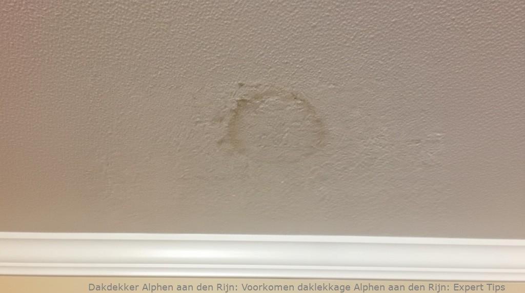 Voorkomen daklekkage Alphen aan den Rijn: Expert Tips