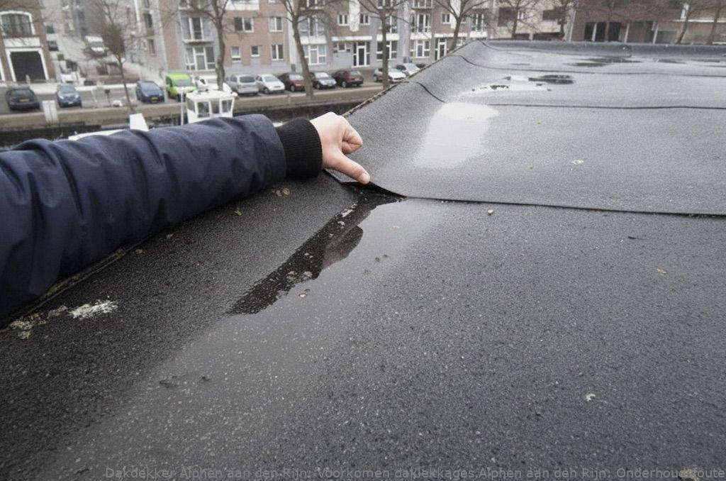 Voorkomen Daklekkages Alphen Aan Den Rijn 1